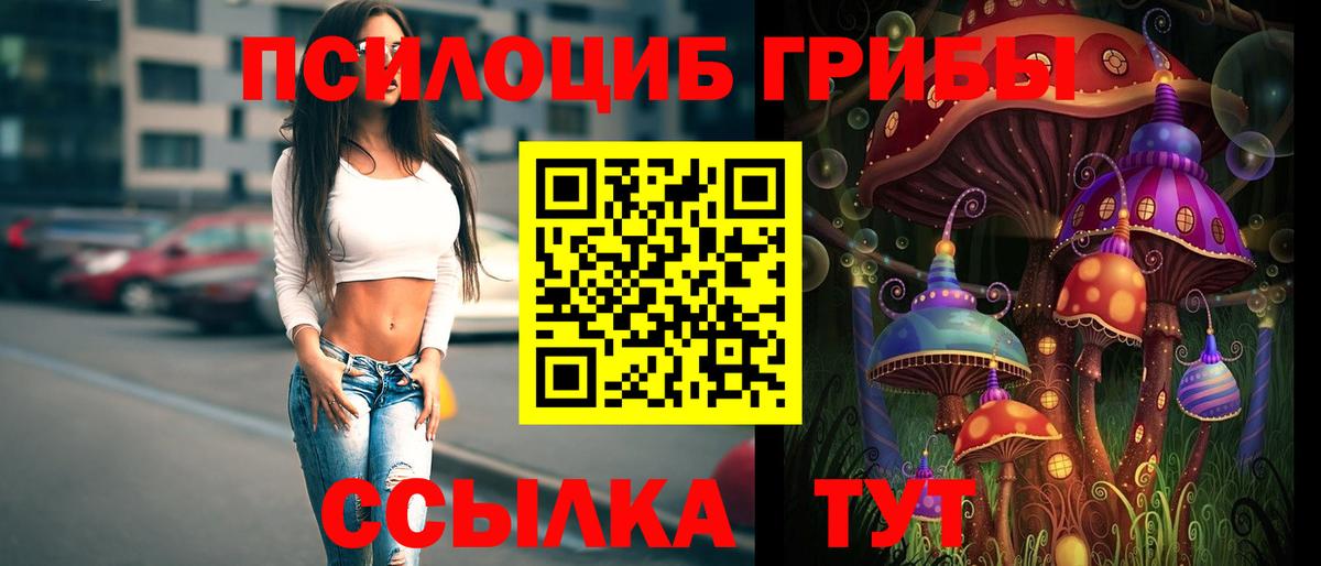 Галлюциногенные грибы GOLDEN TEACHER  Вход с VPN  Донской 