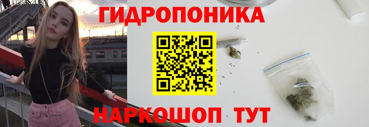 Конопля Ganja  Бошки Шишки White Widow  Донской  Марихуана VHQ  Вход с VPN 